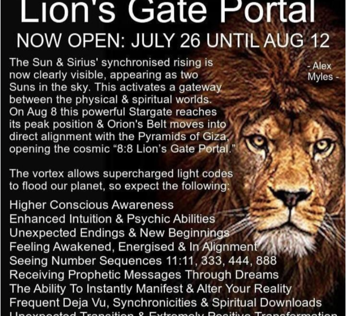 ¿Cuál es el portal de la puerta de 8 8 leones?? startupassembly.co